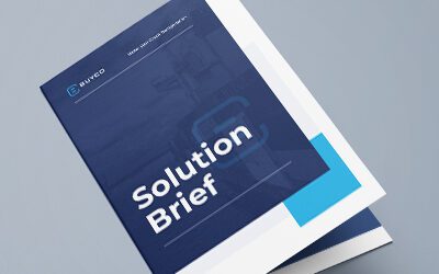 The Solution Brief – BuyCo