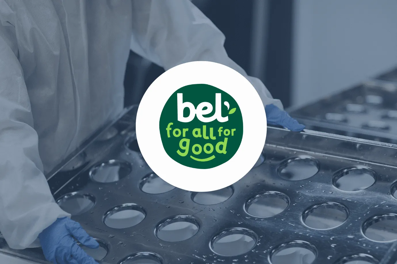 Why Bel Chose BuyCo as their Ocean TMS