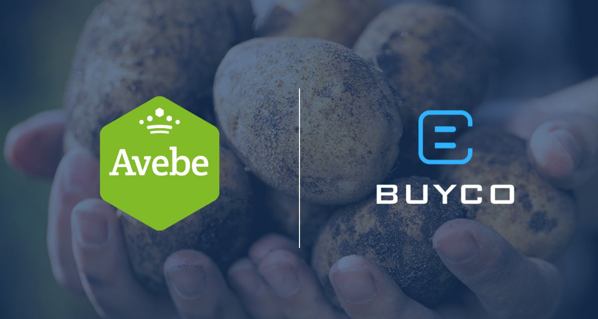 Avebe x BuyCo